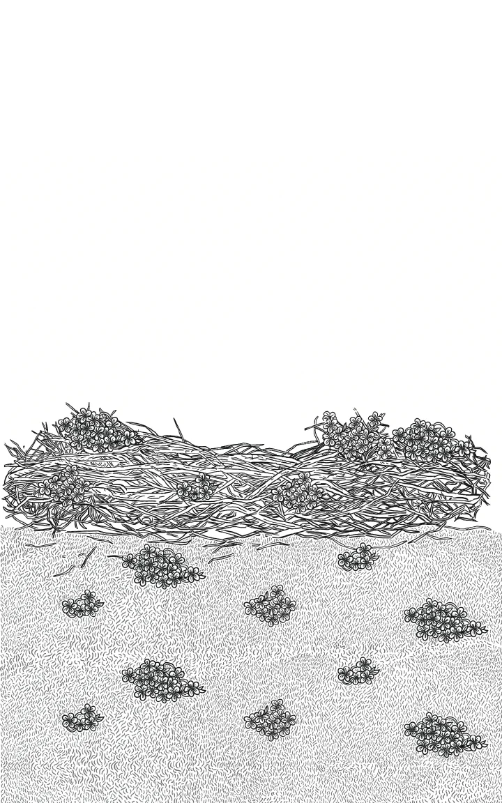 Zoe Selene illustration portfolio artwork 8